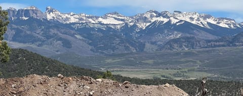 Back yard in the Spring