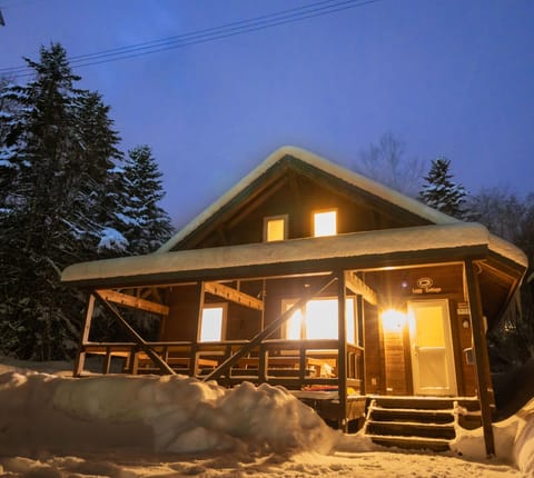 Log cottage exterior (winter night)