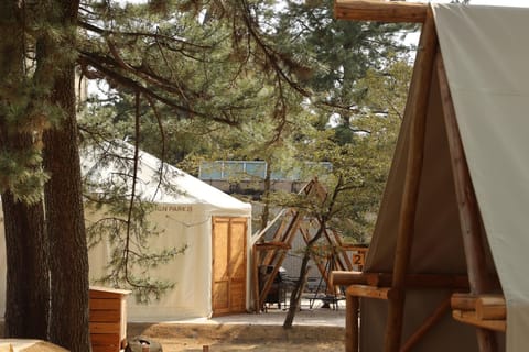 Monday to Thursday Gorgeous glamping tent / Ichinomiya City Aichi Campground/ 
RV Resort in Aichi Prefecture