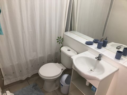 Combined shower/tub, hair dryer, towels, soap