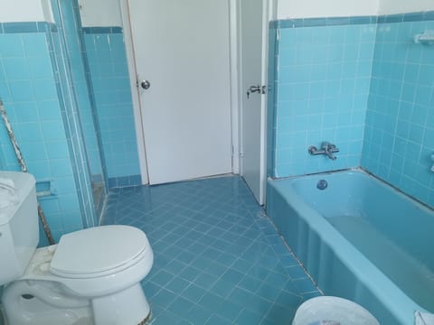 Combined shower/tub, hair dryer, towels, soap