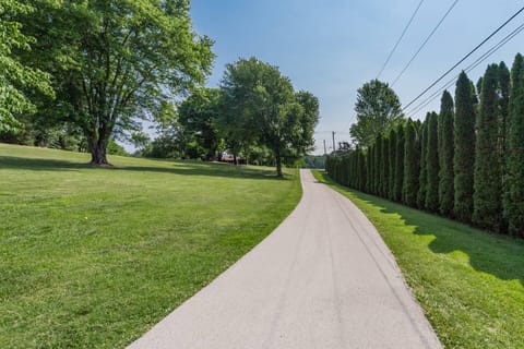 The long driveway lined with arborvitae invites you to stay a while at Little Tennessee Mountain House