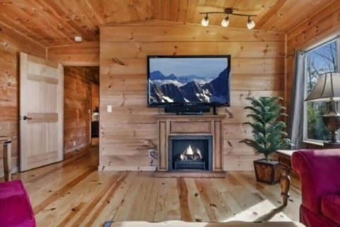 TV, fireplace, offices