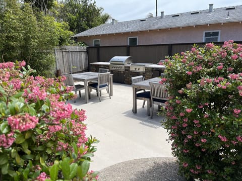 Second  outdoor patio for dining with grill, griddle and patio furniture