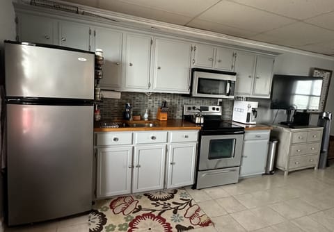 Fridge, oven, stovetop, electric kettle