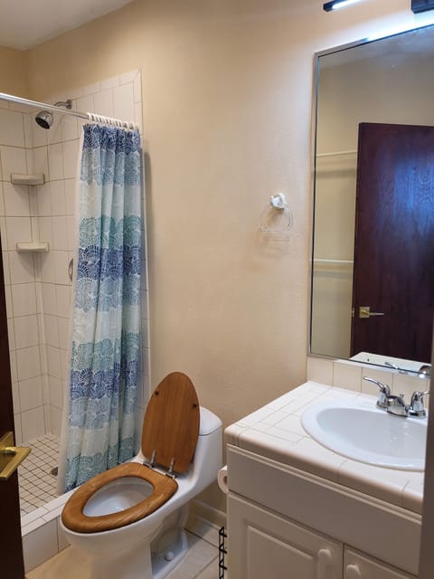 Combined shower/tub, towels