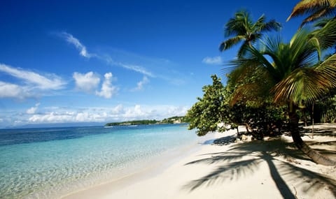 Sun loungers