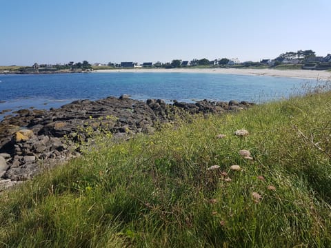 Beach nearby, sun loungers