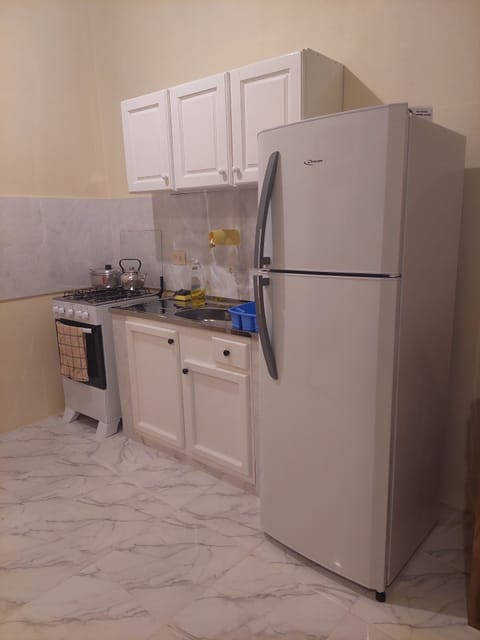 Fridge, oven, stovetop, electric kettle