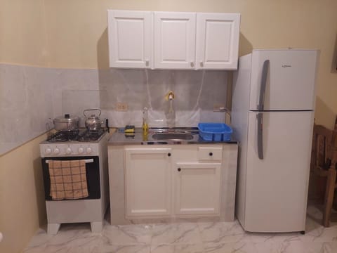 Fridge, oven, stovetop, electric kettle