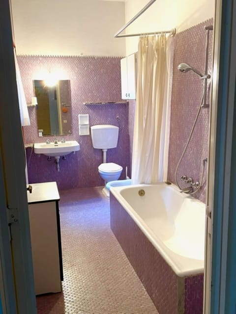 Combined shower/tub, hair dryer, bidet, towels