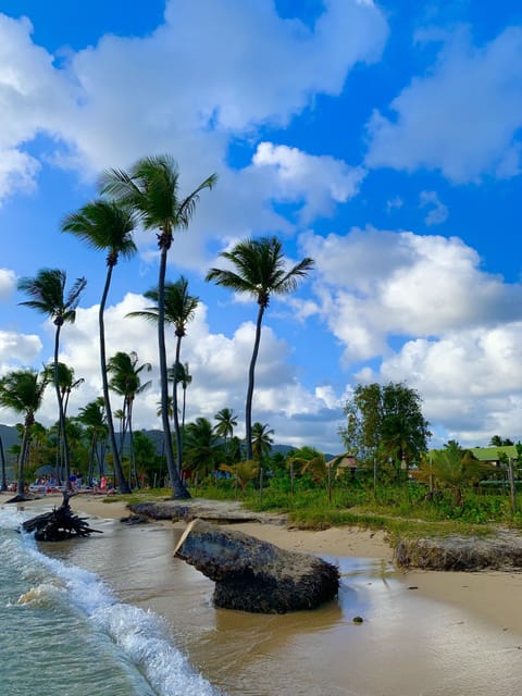 Beach nearby, sun loungers, beach towels