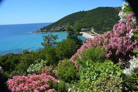 Beach/ocean view