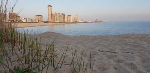 On the beach