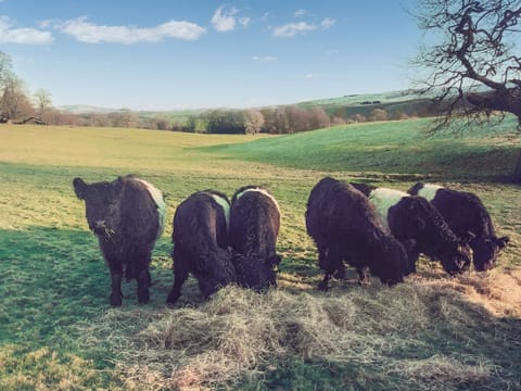 Surrounding area | Bondcroft Farm Cottage, Eastby, near Skipton