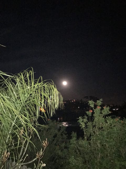 Moonrise from Backyard.