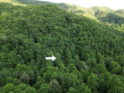 Drone shot showing the setting