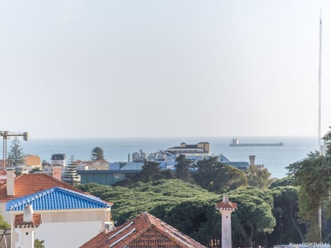 Beach/ocean view