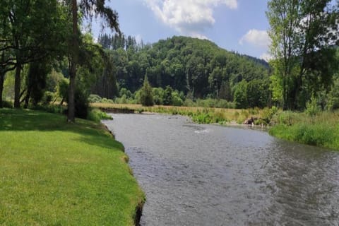 Region [summer] (>5 km)