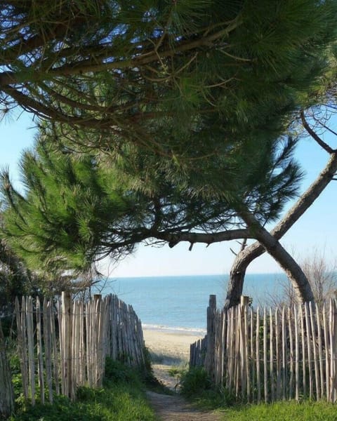 On the beach