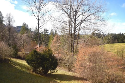 Immediate Surroundings [summer] (<1 km)