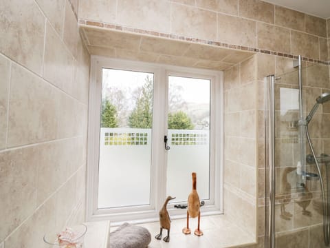 Combined shower/tub