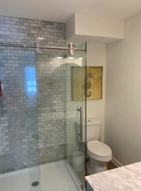 Combined shower/tub, hair dryer, soap, toilet paper