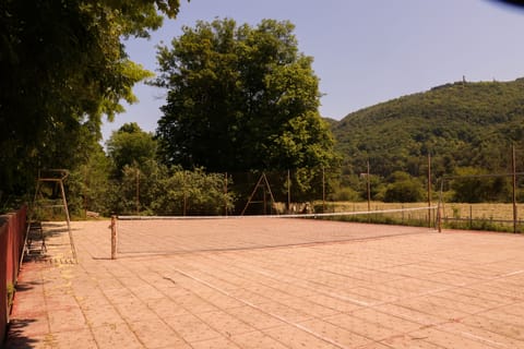 Sport court