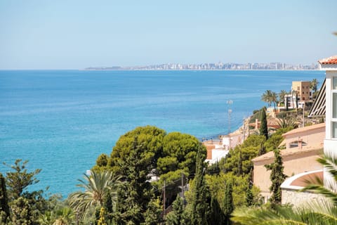 Beach/ocean view