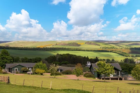 Views from The Buchanan