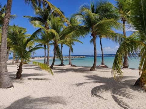 Sun loungers, beach towels