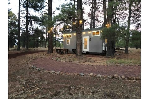 Exterior of the tiny house with dining table and chairs and bistro lighting 