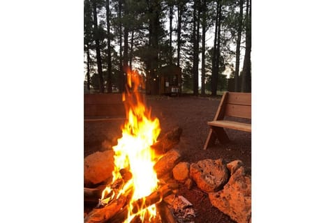 Community fire pit