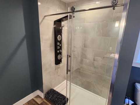Amazing smart-temp walk-in shower in the master onsuite