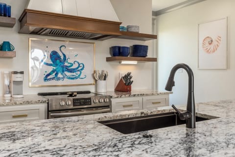 Seas The Moment Kitchen Sink and Stove