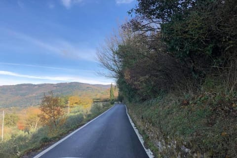 Surroundings [summer] (1-5 km)