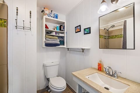 Combined shower/tub, hair dryer, towels