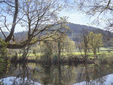 Surrounding area | Glanllyn, Betwys-y-Coed