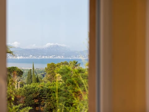 Water, Sky, Window, Plant, Wood, Tints And Shades, Horizon, Shade, Tree, Landscape
