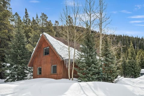 Beautiful Rustic A-frame