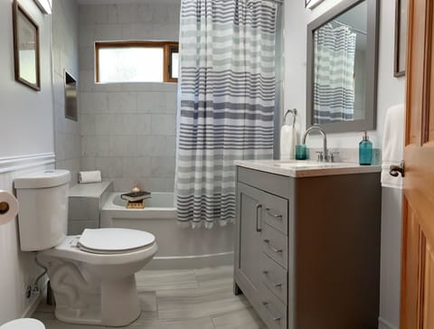 Combined shower/tub, hair dryer, bidet, towels