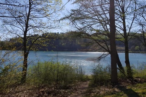 Region [summer] (>5 km)