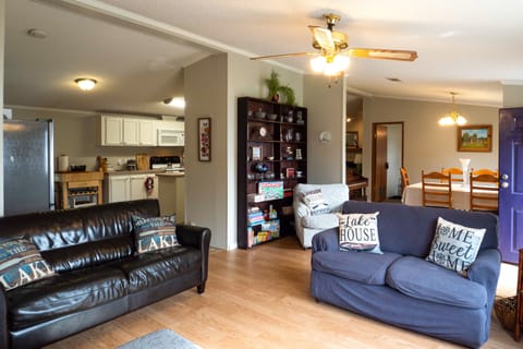 TV, fireplace, books