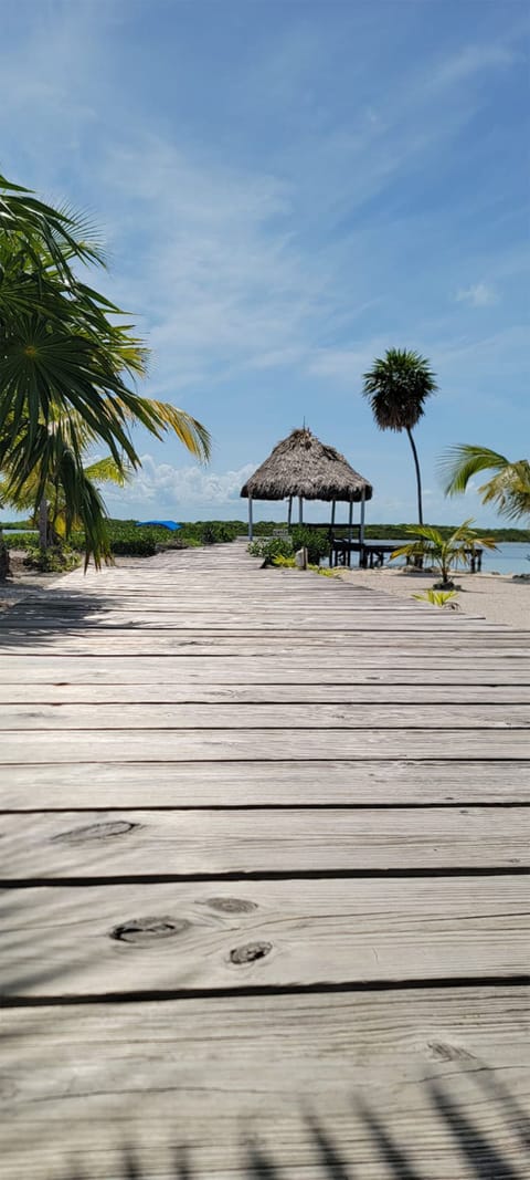 Beach nearby, sun loungers, beach towels