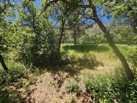 Deck Views - Facing West