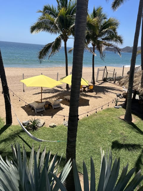 Sun loungers, beach towels