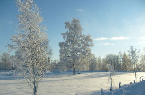 idyllic winter scenery near the cottage