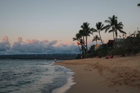 Sun loungers, beach towels