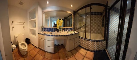 Combined shower/tub, towels, shampoo