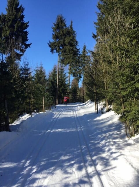 Snow and ski sports